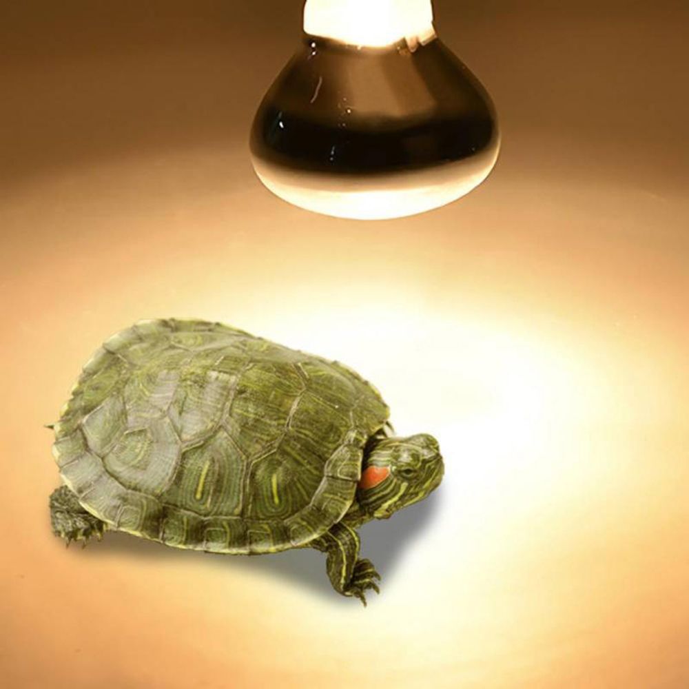 Turtle Heat Lamp Heater Haloge - огляд і ціна Basking Bulb Halogen